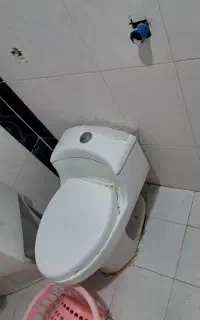 توالت فرنگی..روشویی دوتا