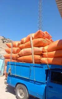 کاه دیم درجه یک