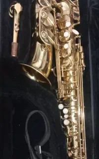 ساکسوفون آلتو Beste fan  چینی