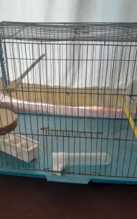 قفس  پرنده