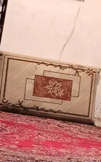 پشتی دو جفت