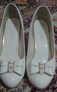 کفش مجلسی