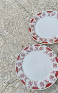 یک دست۶تایی پلوخوری