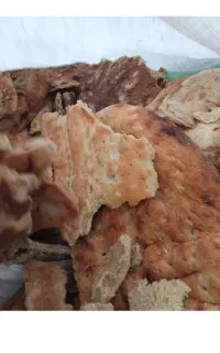لوازم جانبی حیوانات