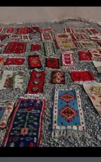 استخدام کارگر ساده در قالیشویی