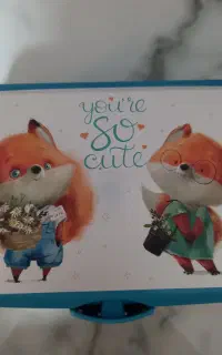 ظرف غذا مناسب مدرسه