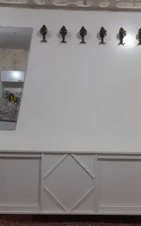 جا‌لباسی