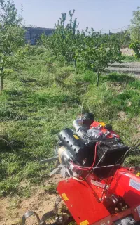 تیلر زنی باغات، شخم عمیق