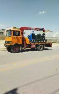 جرثقیل سیستان