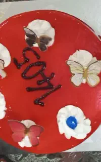 بازی در خانه بازی آلاله هدیه تولد بچه ها