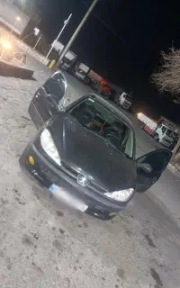 ۲۰۶ فرانسوی