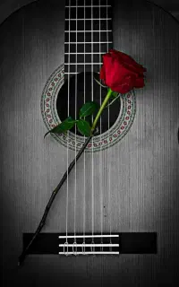 آموزش خصوصی و حرفه ای گیتار