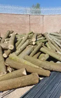 خرید چوب و فروش.