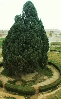فروش خط رند۰۹۰۰۱۷۱۰۰۳۰