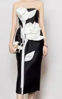 چرخکار ماهر و نیمه ماهر خانم