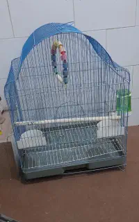 قفس وکلبه