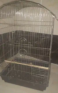 قفس