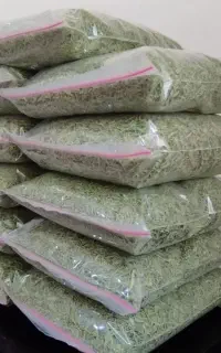 مرزه سبز خشک تازه