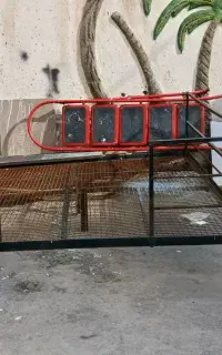 تخت
