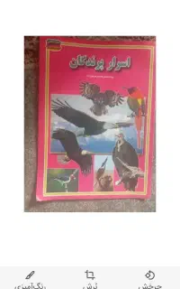 کتاب اسرار پرندگان