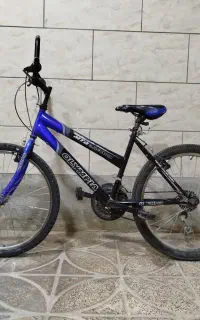 دوچرخه 24