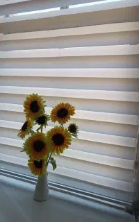 پرده زبرا