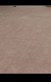 موکت