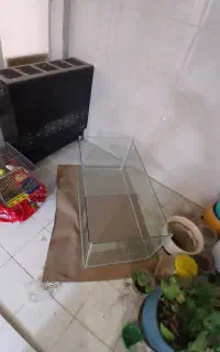 اکواریوم