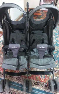 کالسکه دو قلو دلیجان