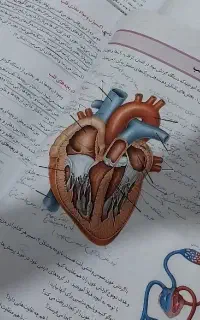کتاب درسی