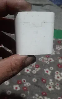 یک عددایرپاداصل باصدای شفاف