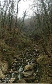 تور گردشگری