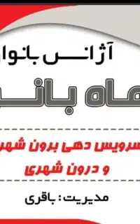 همکار خانم با ماشین جهت کار در اژانس بانوان