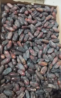 ربی درچه یک سوپر