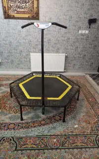 ترامپولین خانگی