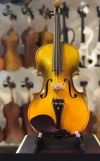 ویولن حرفه‌ای با صدای گرم و ساختار ممتاز