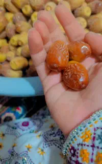 فروش خرمای زاهدی