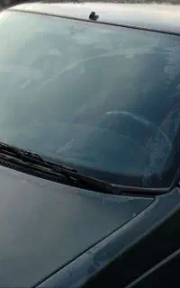 پژواردی