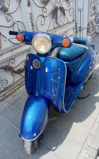 پاکشتی سوزوکی ورد