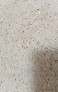 برنج درونگر