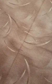 ۵۰ متر موکت درابعاد مختلف یکجا بفروش میرسد.