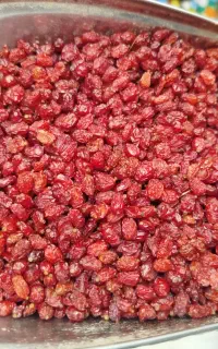 کارگرهستیم جهت چیدن گوجه وسیب زمینی