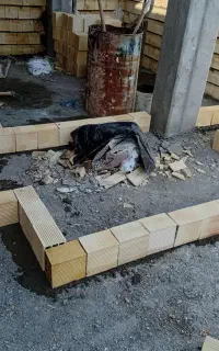 بنای وسفید کاری