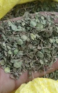 آویشن ارزوئیه صوغان سیرجان