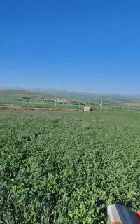 شبدر پرس درجه یک