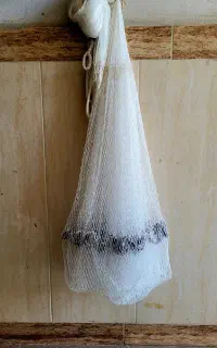 تور (سالی)کولی نو