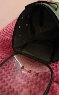 باکس گربه و سگ