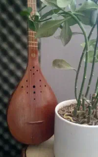 آموزش ساز سه تار