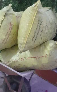 وزغال