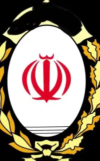 ضامن وام مهربانی